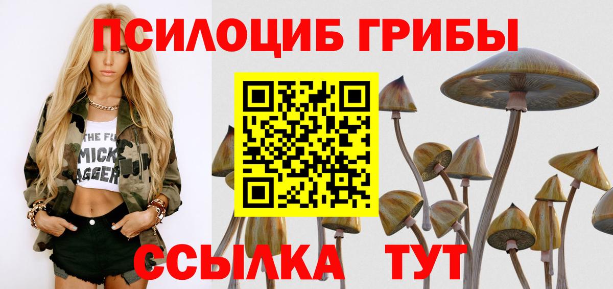 Галлюциногенные грибы ЛСД Алексеевка
